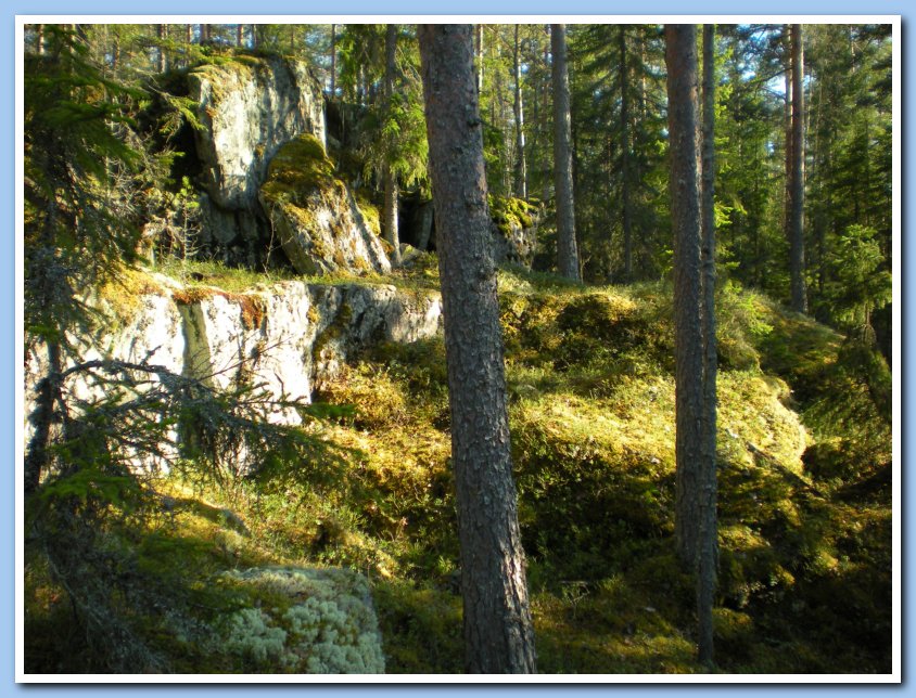 vatpakka 173